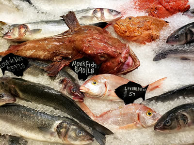 Some of the selections are fresh Mediterranean fish flown in from Greece, Spain and Portugal.