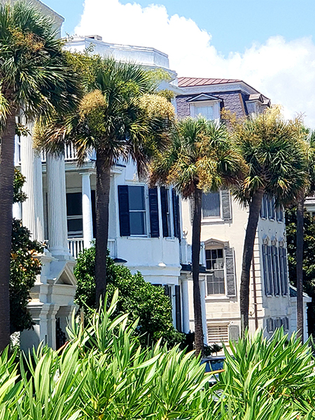 photo of historic buildings in Charleston, South Carolina